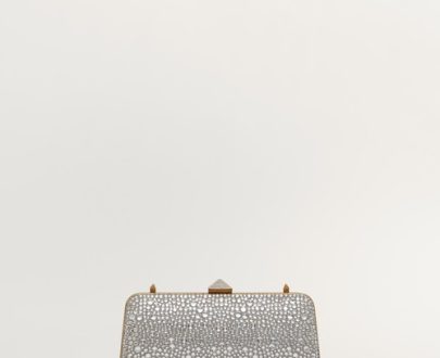 CARRY-SECRETS-RHINESTONE-MINAUDIERE-21